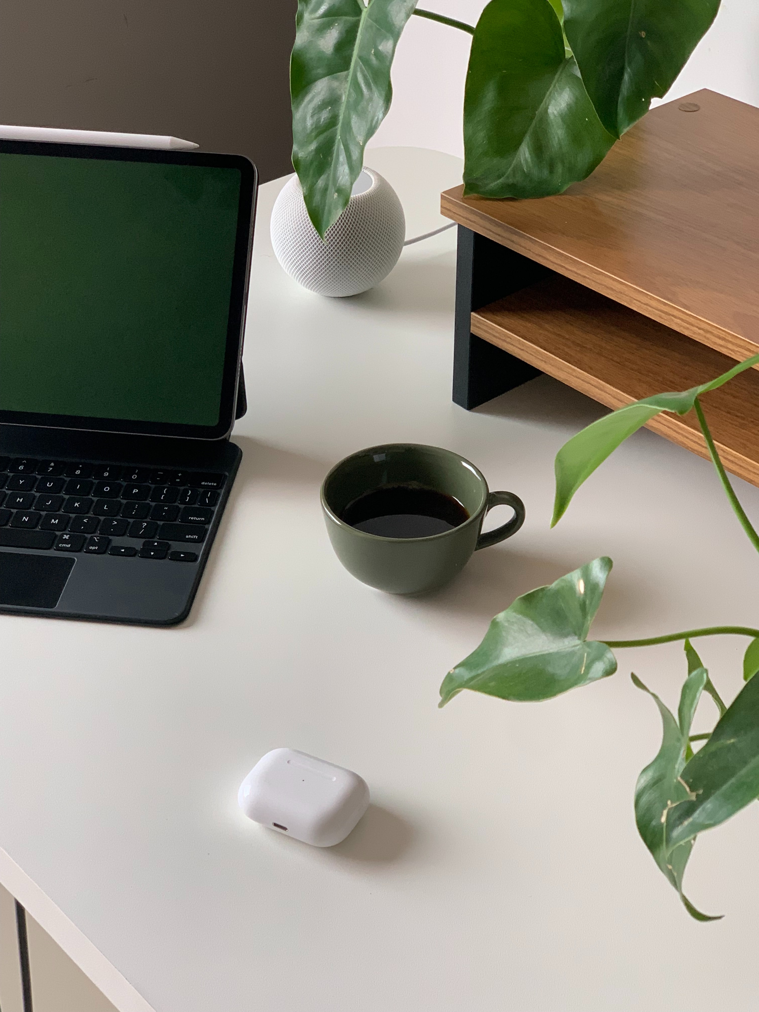 pc con pianta e caffe.jpg
